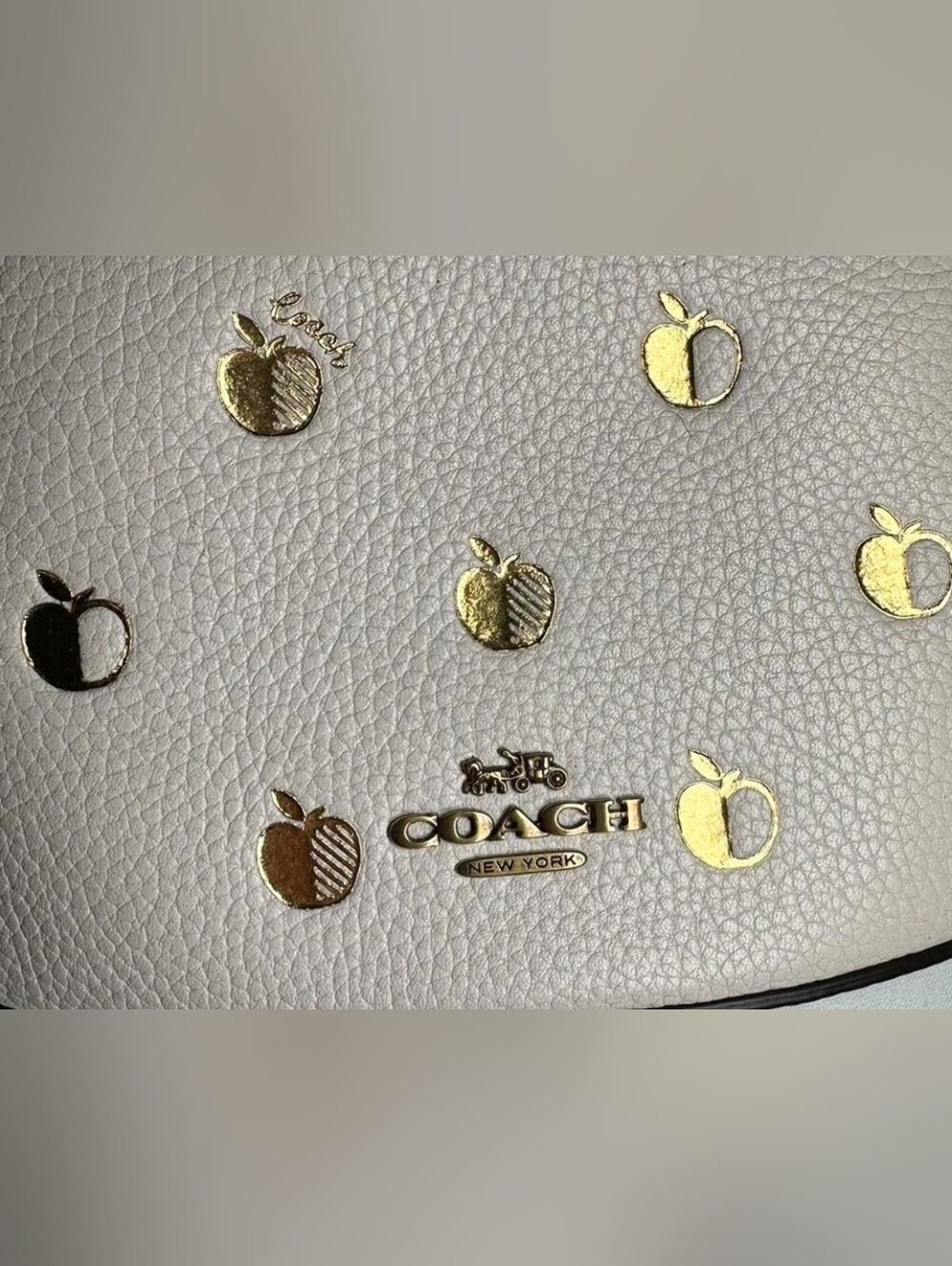 Coach North South Camera Apple Gold & White Crossbody Bag Exclusive - Picture 4 of 11